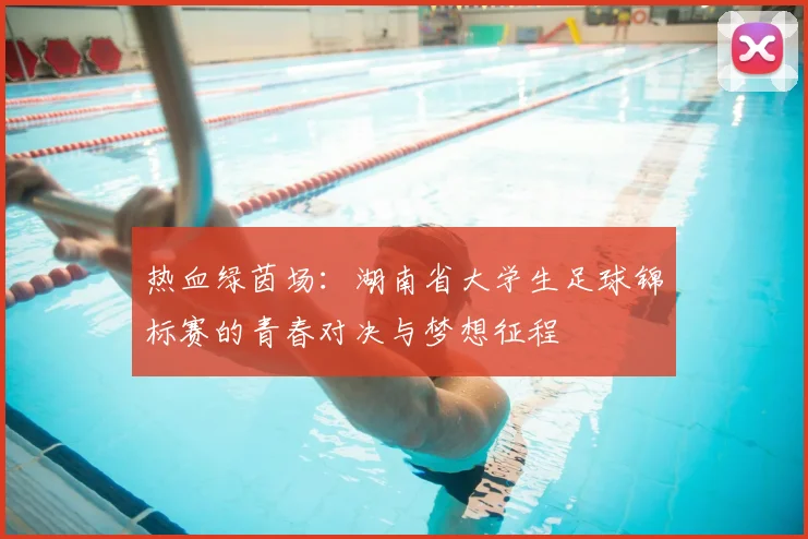 热血绿茵场:湖南省大学生足球锦标赛的青春对决与梦想征程