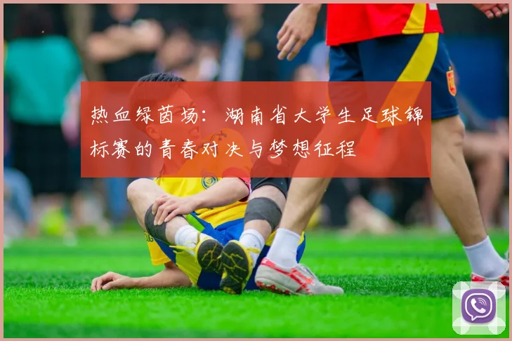 热血绿茵场：湖南省大学生足球锦标赛的青春对决与梦想征程